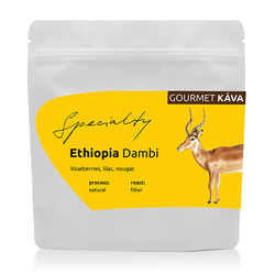 GourmetKáva Specialty Etiopie Dambi Natural 250g