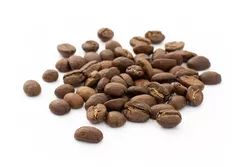 RWANDA GISENYI FW A SCR. 15+ MUTETELI RUGAMBA - Micro Lot