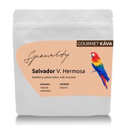 GourmetKáva Specialty - Salvador Vista Hermosa Anaerobic 250g